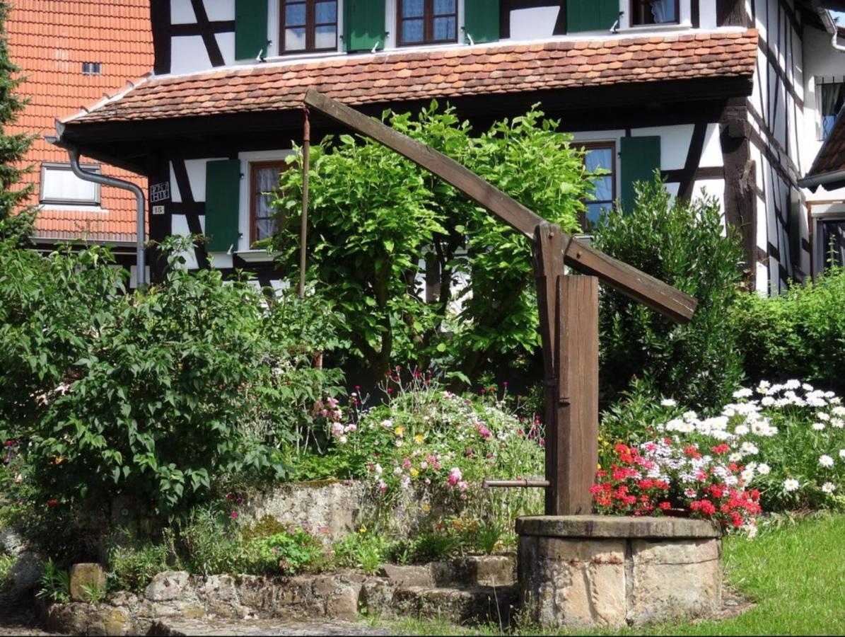 Gites Et Chambres D'Hotes Maison Ungerer Hunspach Eksteriør bilde