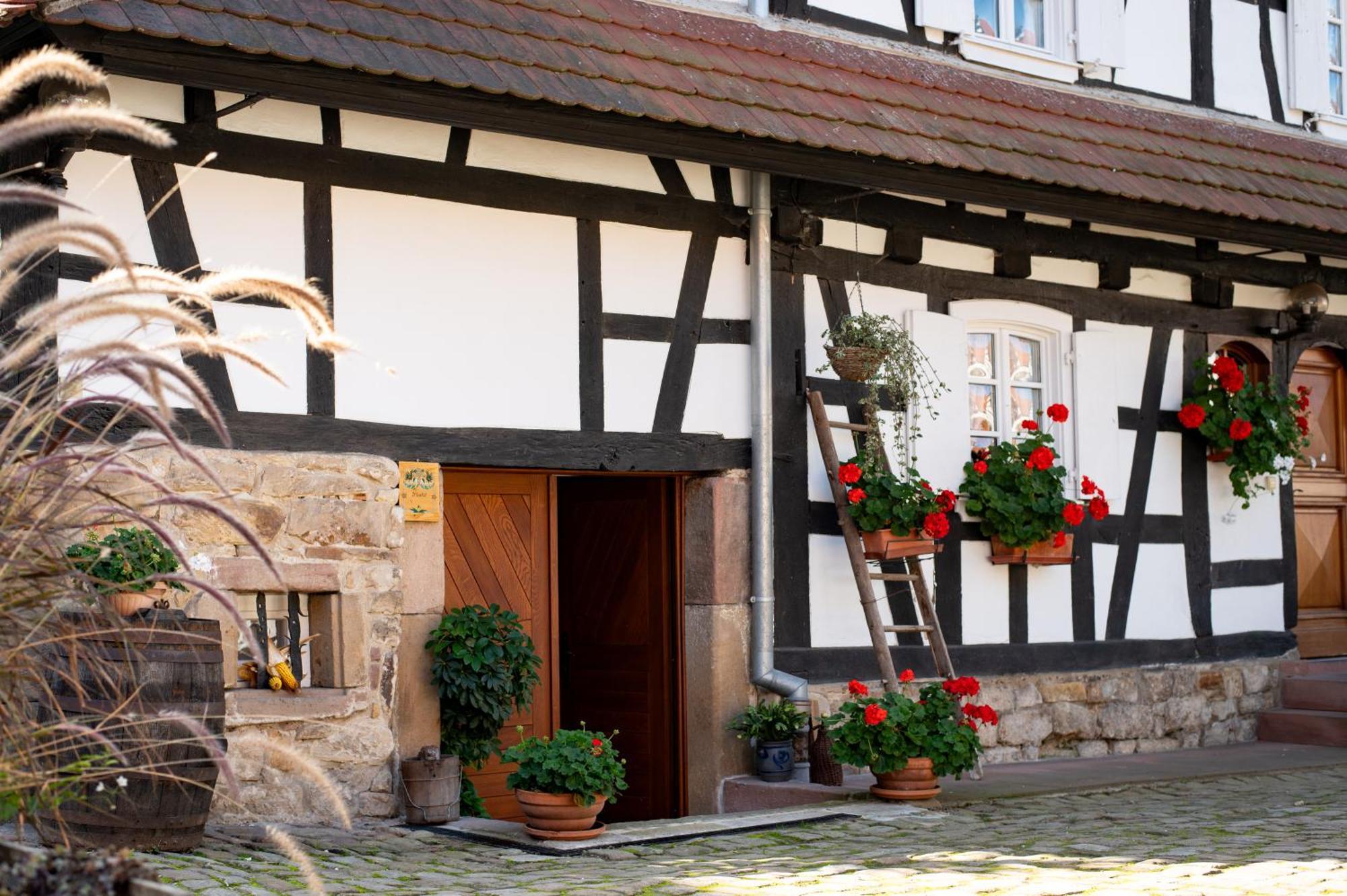 Gites Et Chambres D'Hotes Maison Ungerer Hunspach Eksteriør bilde