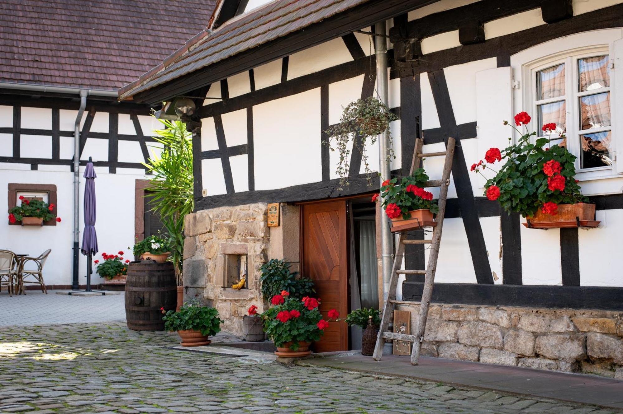 Gites Et Chambres D'Hotes Maison Ungerer Hunspach Eksteriør bilde